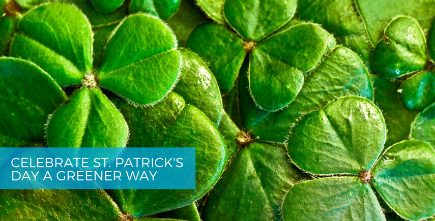 St. Patricks’ Day is known for green beer, leprechauns and pots of gold but why not take an even more green approach to celebrating. Try one of these healthier substitutes for the traditional St. Patrick’s Day festivities.